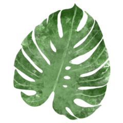 Watercolor Tropical Beach Leaf California Sticker