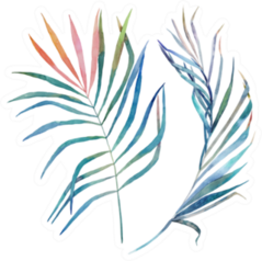 Watercolor Tropical Leaves Hand Drawn Illustration Sticker
