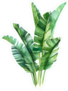Watercolor Tropical Palm Leaves Sticker