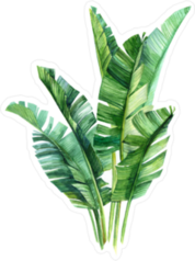 Watercolor Tropical Palm Leaves Sticker