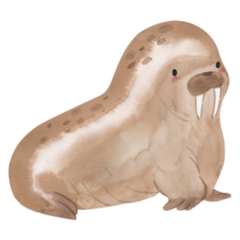 Watercolor Walrus Arctic Animal Sticker