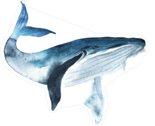 Watercolor Whale Hand Painted Sticker