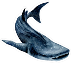 Watercolor Whale Shark Sticker
