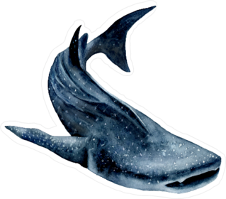 Watercolor Whale Shark Sticker