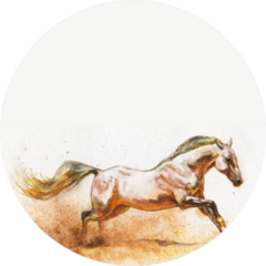 Watercolor White Horse Runs Galloping Sticker