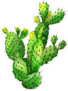 Watercolor Wildflower Cactus Sticker