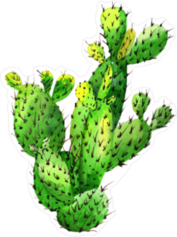 Watercolor Wildflower Cactus Sticker