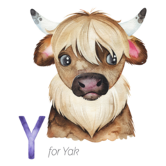 Watercolor Y For Yak Mongolia Sticker 