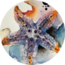 Watercolour Painting Of Starfish Sticker
