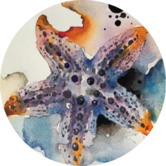 Watercolour Painting Of Starfish Sticker