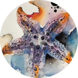 Watercolour Painting Of Starfish Sticker