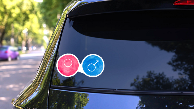 Watercolour Set Of Female And Male Gender Symbols Sticker on a Rear Car Window (New) example