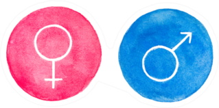 Watercolour Set Of Female And Male Gender Symbols Sticker