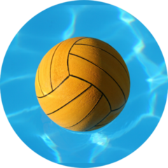 Waterpolo Ball In Pool Sticker