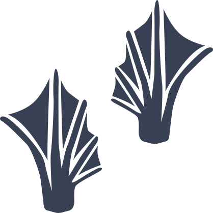 Webbed Frog Toad Footprints Sticker