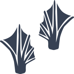 Webbed Frog Toad Footprints Sticker