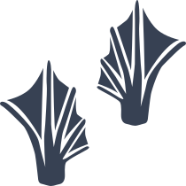 Webbed Frog Toad Footprints Sticker