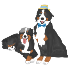 Wedding Bernese Dogs Sticker 