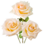 Wedding Bunch Of Cream Roses Sticker
