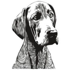 Weimaraner Drawn Sticker