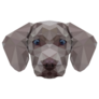 Weimaraner Geometric Sticker