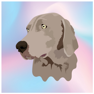 Weimaraner Gradient Sticker