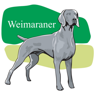 Weimaraner Green Sticker
