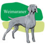 Weimaraner Green Sticker