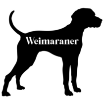 Weimaraner Outline Sticker