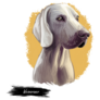 Weimaraner Pet Sticker