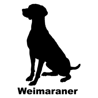 Weimaraner Pose Sticker