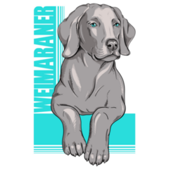 Weimaraner Poster Sticker