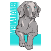 Weimaraner Poster Sticker