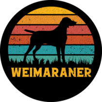 Weimaraner Retro Sticker