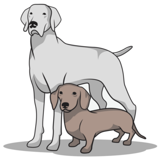 Weimaraner & Sausage Sticker