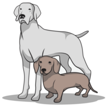 Weimaraner & Sausage Sticker