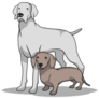 Weimaraner & Sausage Sticker