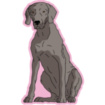 Weimaraner Sit Pink Sticker