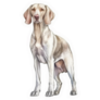 Weimaraner Stands Sticker