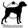 Weimaraner Star Sticker