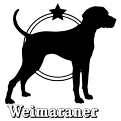 Weimaraner Star Sticker