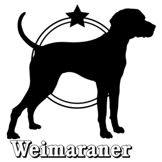 Weimaraner Star Sticker