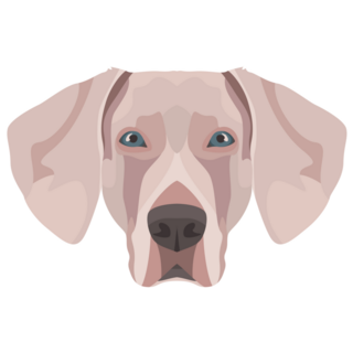 Weimaraner Sticker