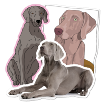 Weimaraner Thumbnail