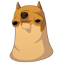 Weird Chihuahua Sticker