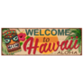Welcome To Hawaii Metal Sign Sticker