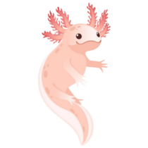 Welcoming Axolotl Sticker