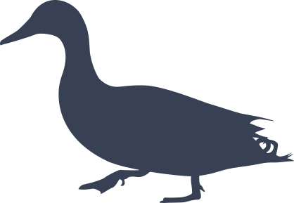 Wet Duck Walking Sticker