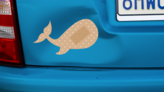 Whale Band Aid Bandage Sticker on a Dented Car example