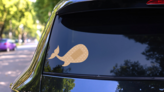 Whale Band Aid Bandage Sticker on a Rear Car Window (New) example